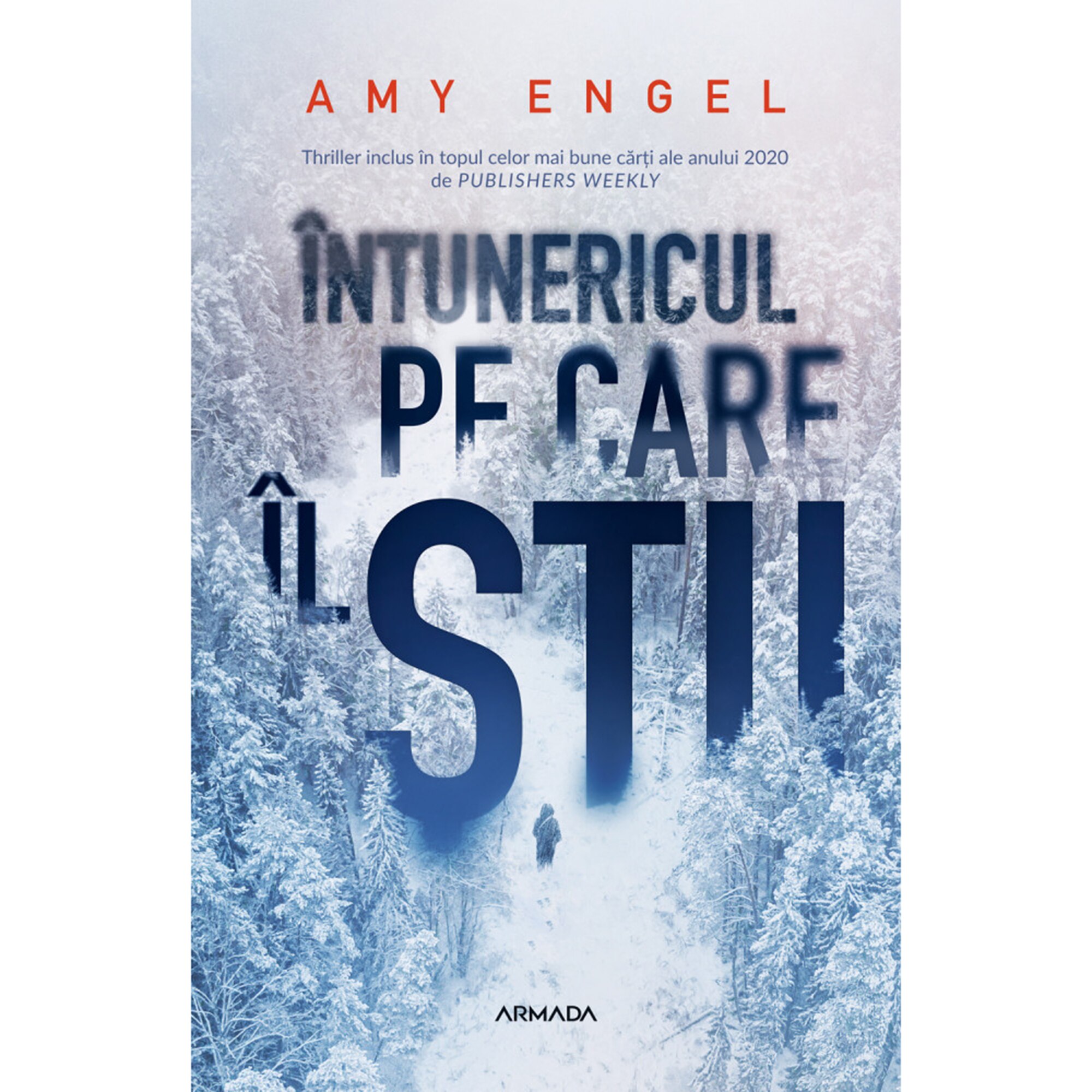 Intunericul pe care il stii, Amy Engel