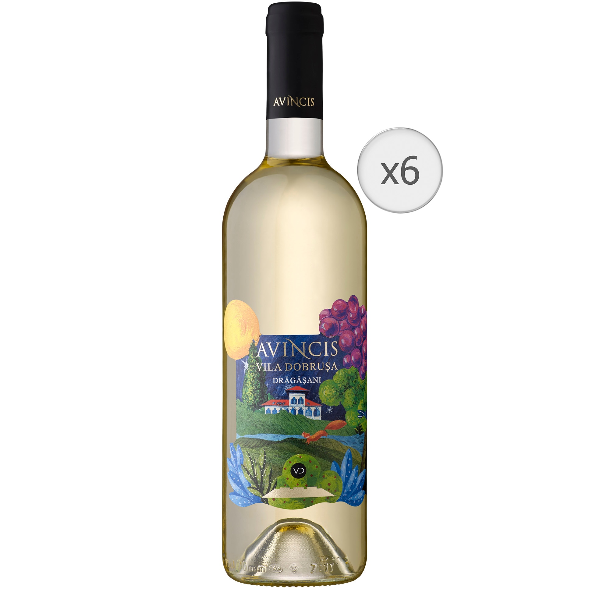 Vin Alb Vila Dobrusa Sauvignon Blanc, Sec, 6 x 0.75l