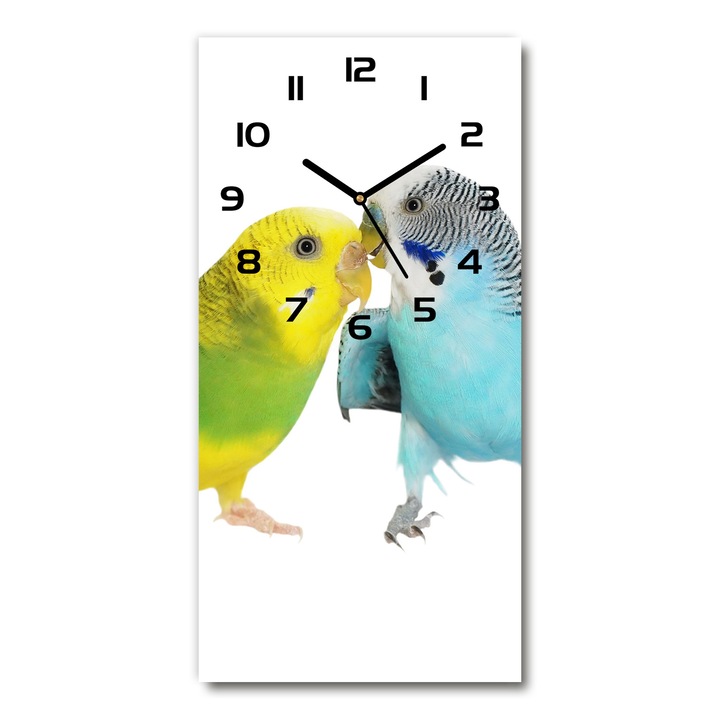 Falióra, Tulup, budgies, 30x60 cm, sokszínű