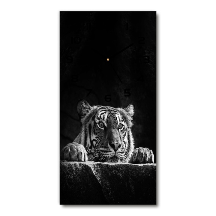 Falióra, Tulup, tigris, 30x60 cm, Fekete és fehér