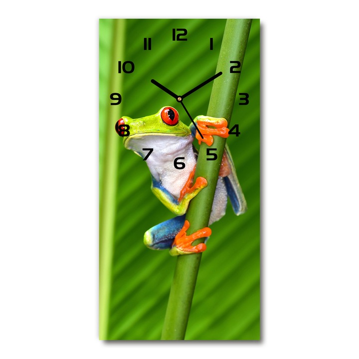 Falióra, Tulup, leveli béka, 30x60 cm, zöld