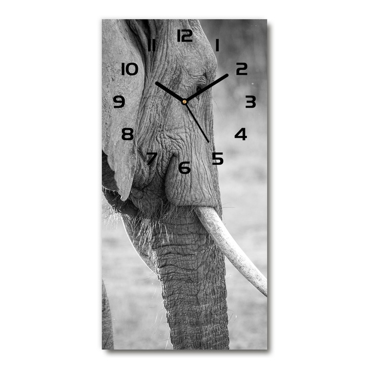 Falióra, Tulup, elefánt, 30x60 cm, Fekete és fehér