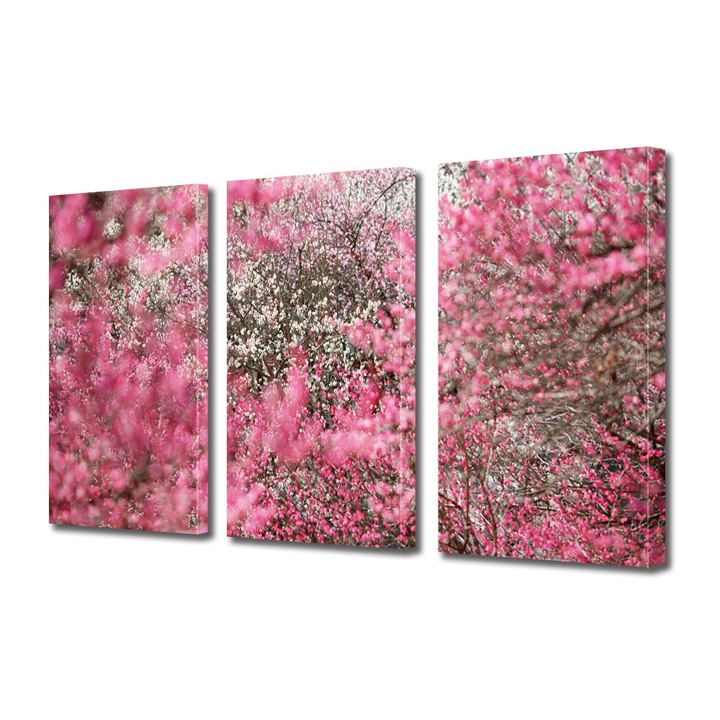 Tablou Multicanvas 3 Piese Peisaje Nuante de roz, 25 x 45 cm