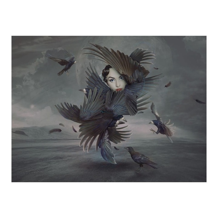 Nem szőtt tapéta nappaliba, hálószoba, minden tollal - 200cm X 154cm, Használati útmutató, ragasztó