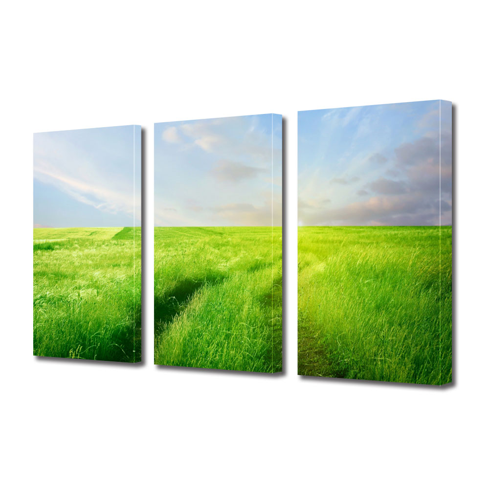 Tablou Multicanvas 3 Piese Peisaje Carare verde, 25 x 45 cm