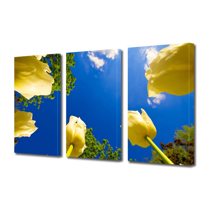 Tablou Multicanvas 3 Piese Peisaje Lalele spre cer, 25 x 45 cm