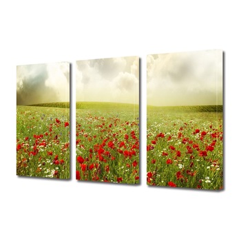Tablou Multicanvas 3 Piese Peisaje Maci superbi, 60 x 120 cm Tablou Multicanvas 3 Piese Peisaje Maci superbi, 60 x 120 cm