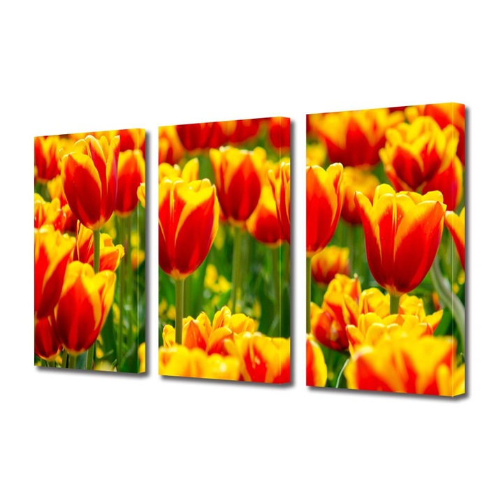 Tablou Multicanvas 3 Piese Peisaje Lalele in 2 culori, 25 x 45 cm