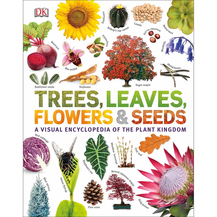 Trees, Leaves, Flowers & Seeds - DK Children - hardback