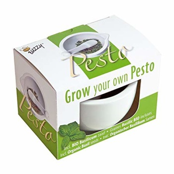 Set de cultivare si preparare Pesto, Busuioc, Plante aromatice pentru interior, Holland, Bio, 1 buc Set de cultivare si preparare Pesto, Busuioc, Plante aromatice pentru interior, Holland, Bio, 1 buc