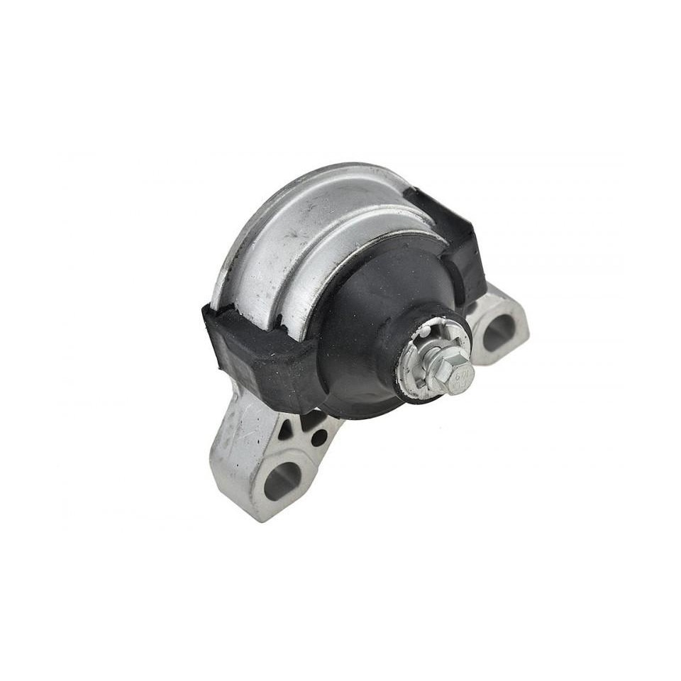 Suport motor Ford Transit Connect (2002-2012)[P65_,P70_,P80]
