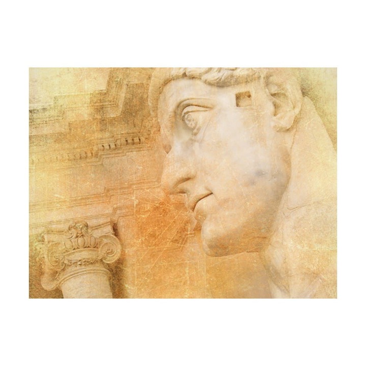 Nem szőtt tapéta nappaliba, hálószobába, görög isten - 250 cm x 193 cm, használati utasítás, ragasztó