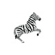 Supershape zebra fólia lufi 99 cm
