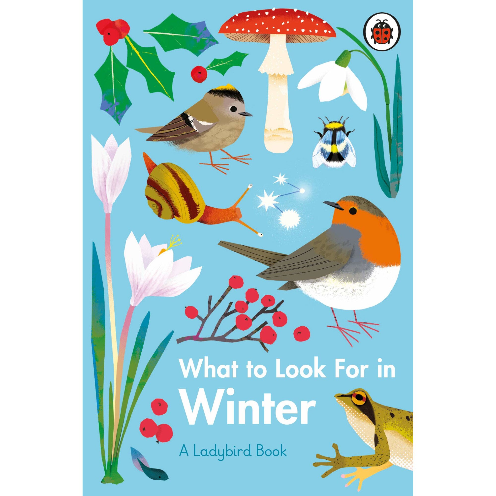 What To Look For In Winter - Elizabeth Jenner
