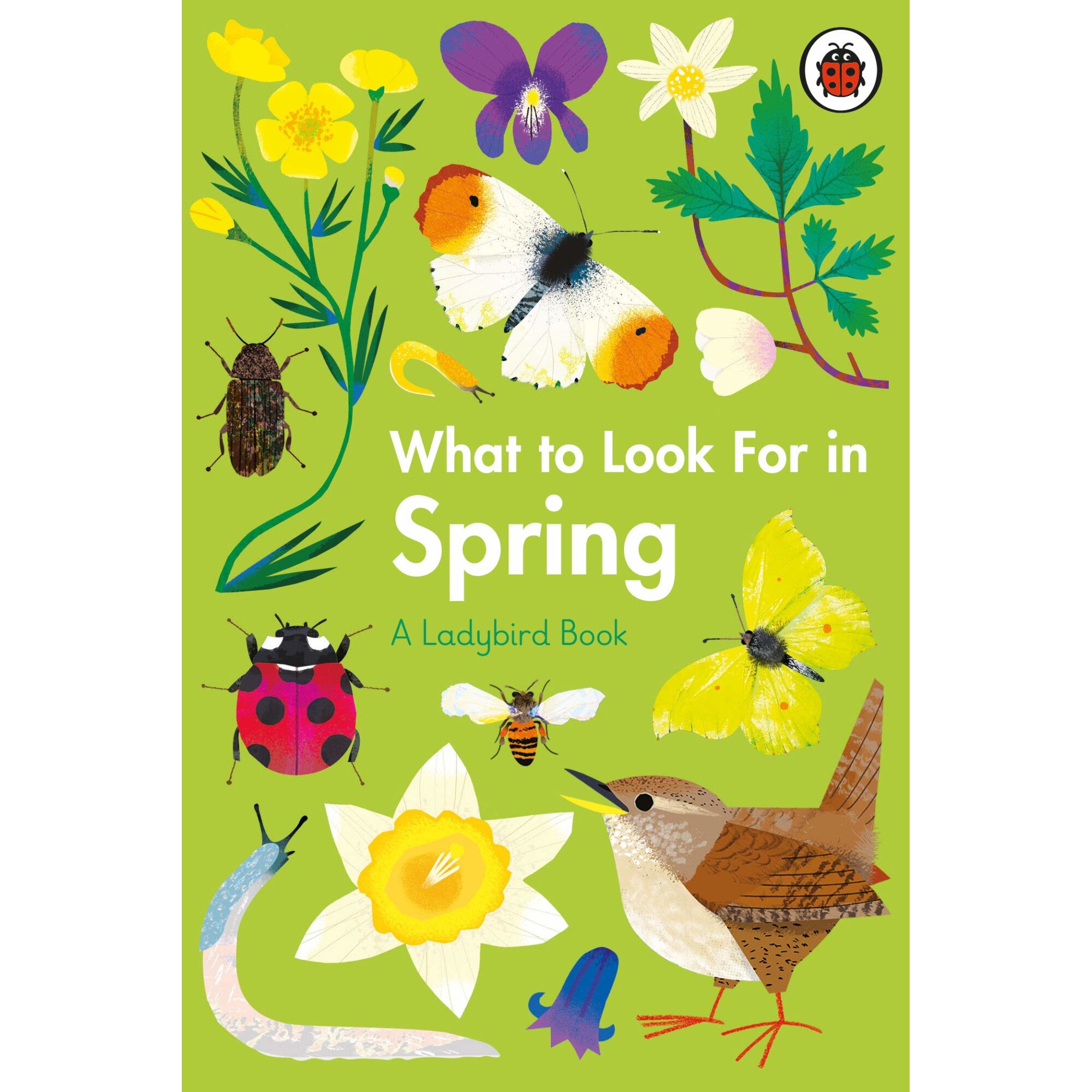 What To Look For In Spring - Elizabeth Jenner