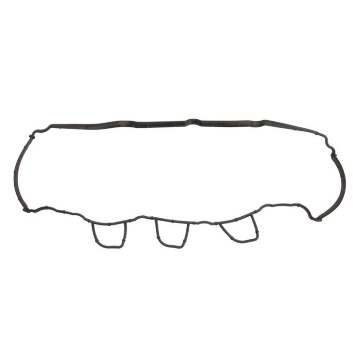 Гарнитура, капак на клапан Renault Grand Scenic III 2009-> JZ0/1 11124200