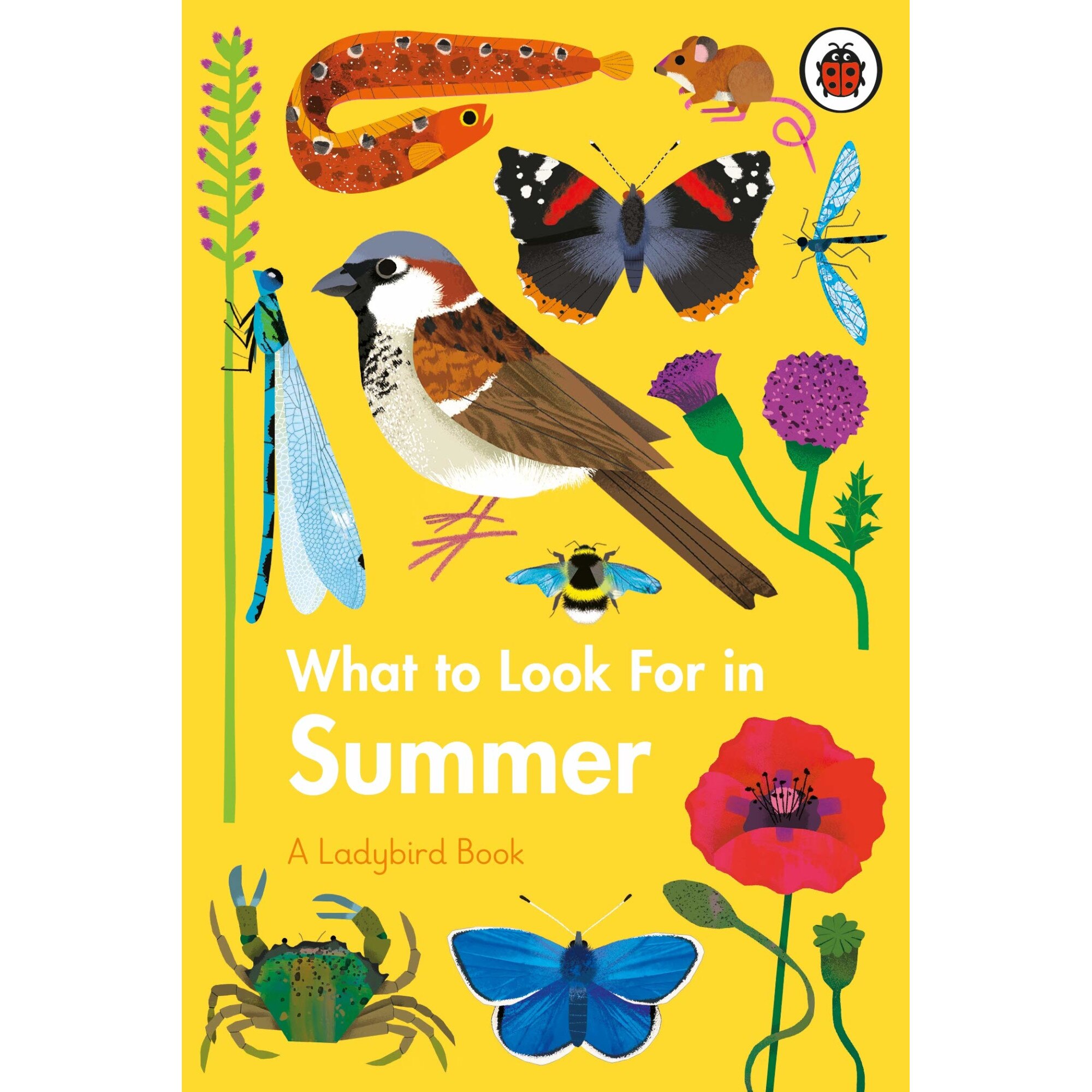 What To Look For In Summer - Elizabeth Jenner