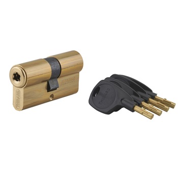 Cilindru inalta securitate, 31 x 31 mm, Surveyor Cilindru inalta securitate, 31 x 31 mm, Surveyor