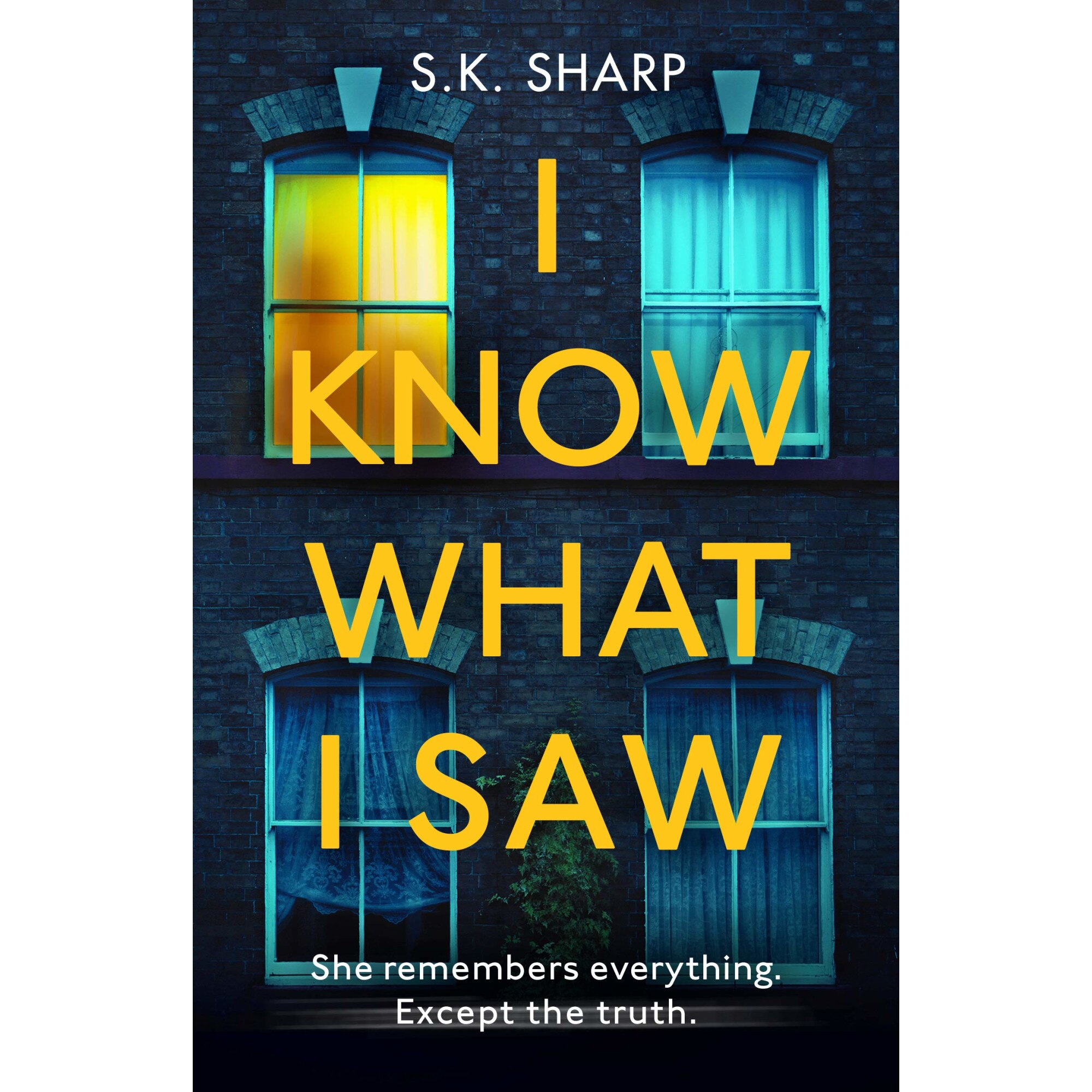 I Know What I Saw - S K Sharp, editia 2021