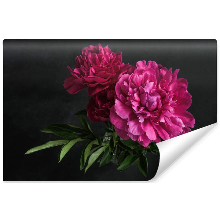 Fototapet pentru living BUJORI ROZ flori 315cm x 210cm Efect 3D, Natura, Semilavabil, Design modern, Dormitor
