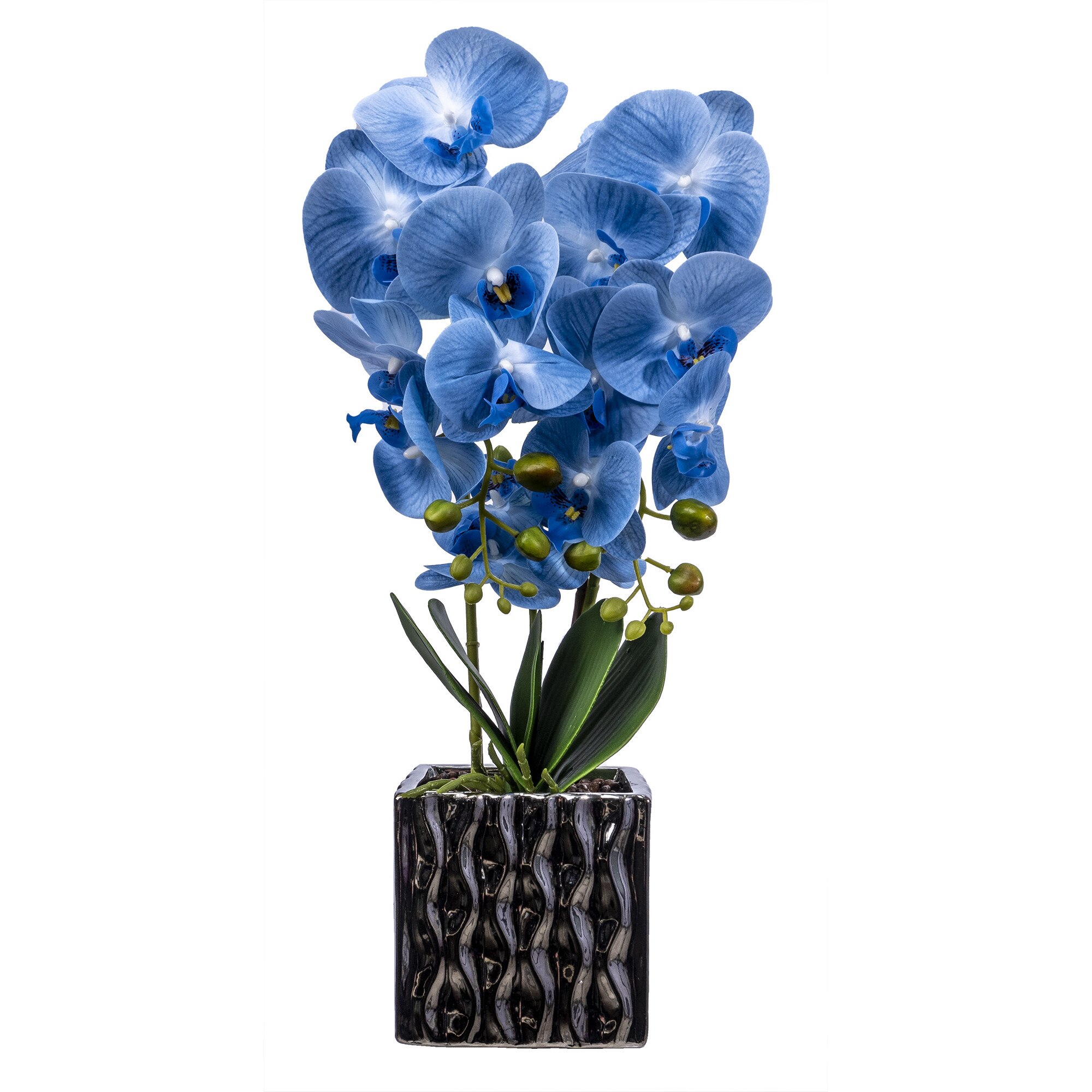 Orhidee 3 fire cu aspect natural in ghiveci argintiu, H 50 cm / CD3761-Bleu