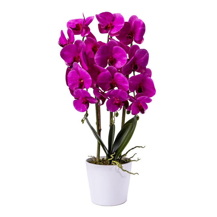 Love CD4690 orchidea, természetes megjelenésű, 3 szál, fehér kerámia cserép, 70 cm, fukszia