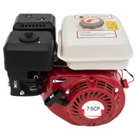 motor universal pe benzina cmp0238n 75cp ohv4 timpi ax pana 20mm imagen 4_0_
0