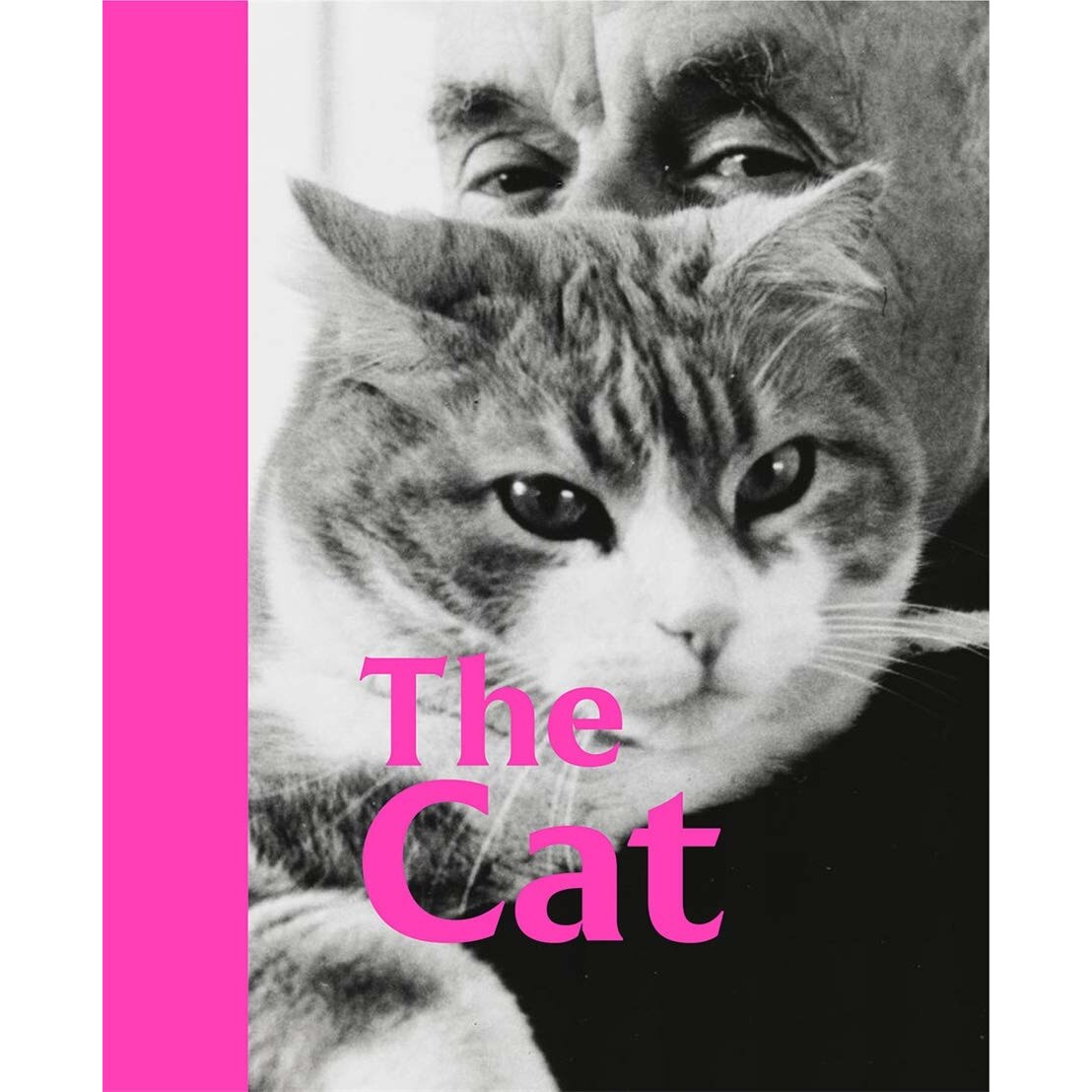The Cat - Emilia Will