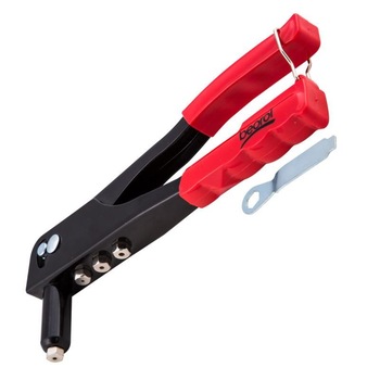 Cleste nituit standard, Beorol Cleste nituit standard, Beorol