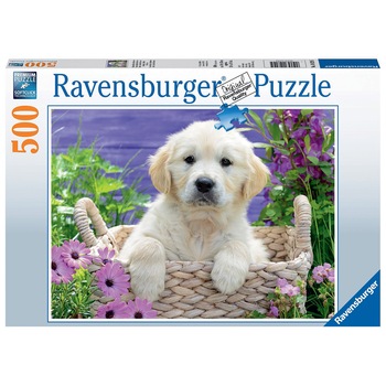 Puzzle Ravensburger - Golden retriever, 500 piese Puzzle Ravensburger - Golden retriever, 500 piese