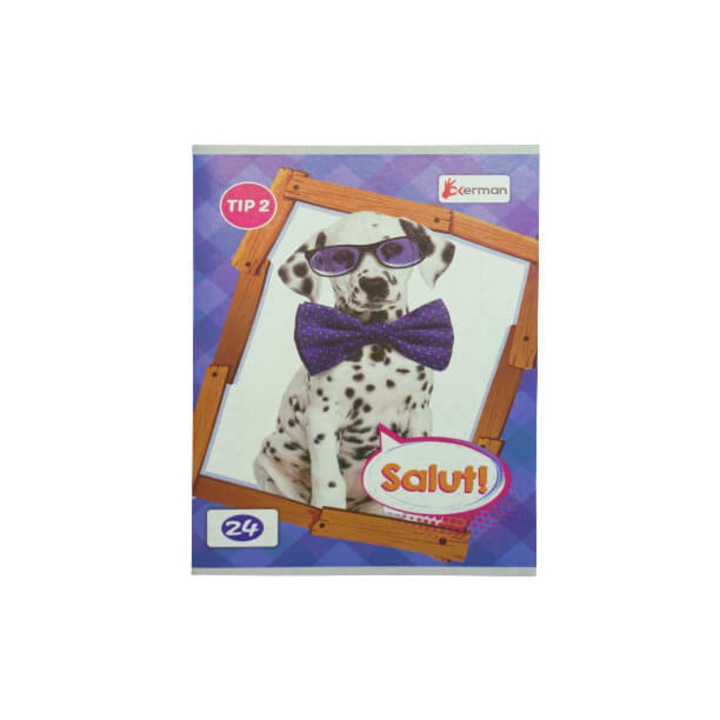 Caiet tip II , 24 file, okerman