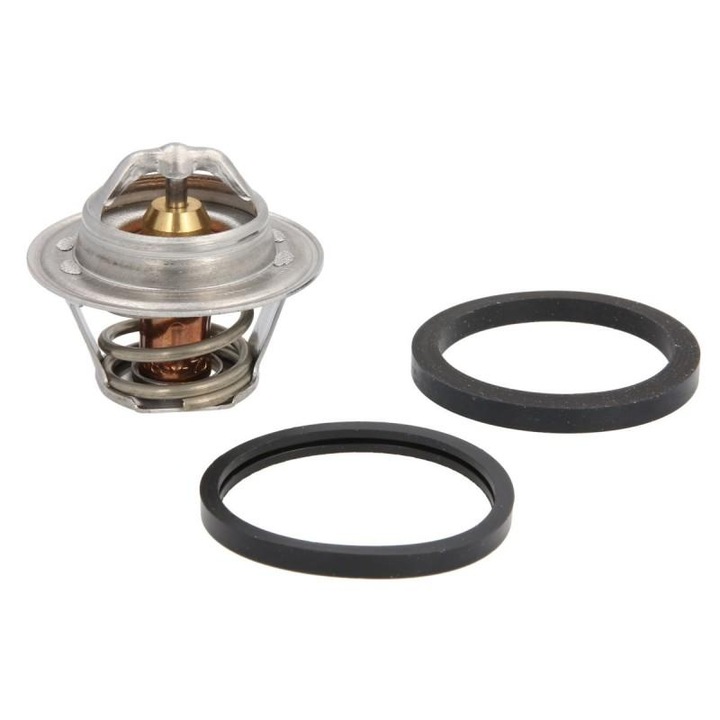 Termosztát, hűtőfolyadék TH4898.92J