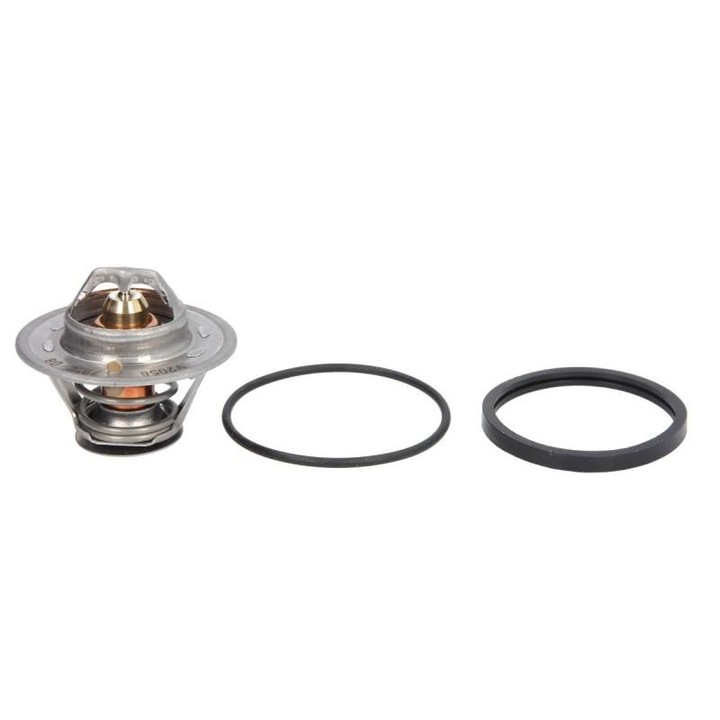 Termosztát, hűtőfolyadék, Fiat DUCATO 1989-1994 290 TH3309.79J