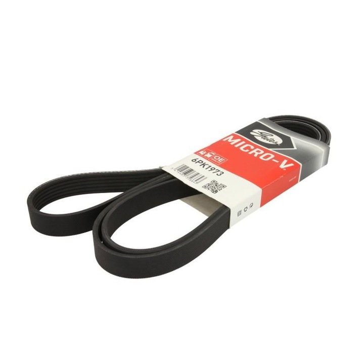 ékbordás szíj Ford Transit Connect 2002-2012 P65, P70, P80 6PK1973