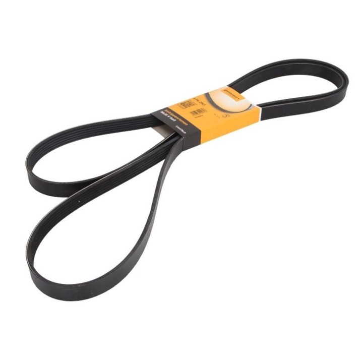 Curea transmisie cu caneluri Citroen C-Crosser Enterprise 2009-> 6PK2563