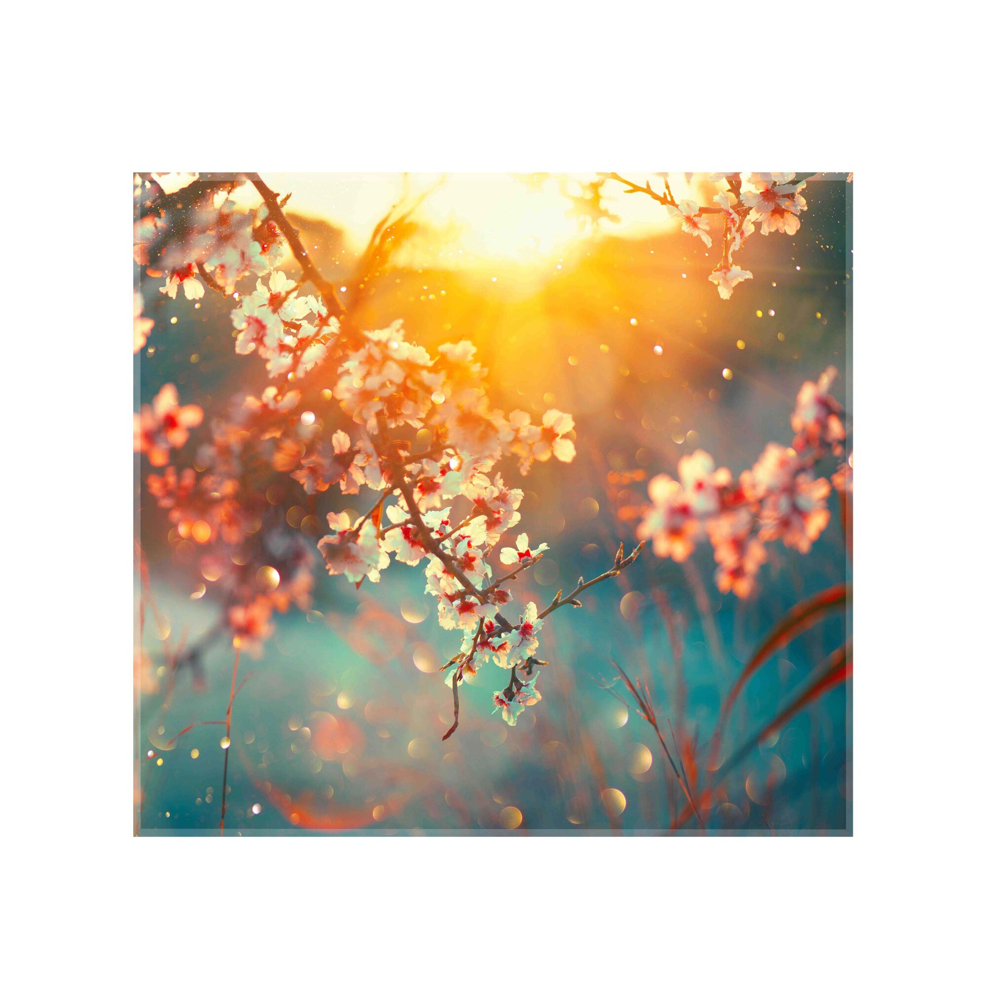 Panou decorativ sticla bucatarie securizata Saint Gobain Glass, imprimata 60x55cm, protectie antistropire pentru aragaz, Ambra Deco, Primavara