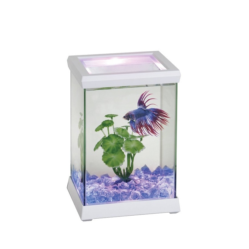 Acvariu Betta Space alb 4,95 litri cu iluminare led, pietris si planta artificiala