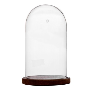 Cupola sticla D 80mm H 150mm cu baza maro Cupola sticla D 80mm H 150mm cu baza maro