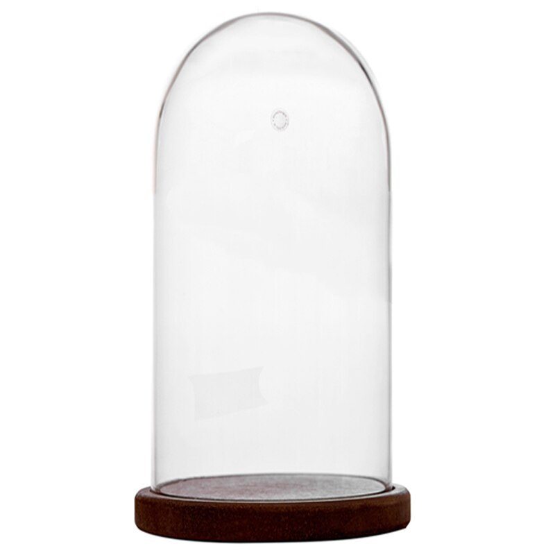 Cupola sticla D 80mm H 200mm cu baza maro