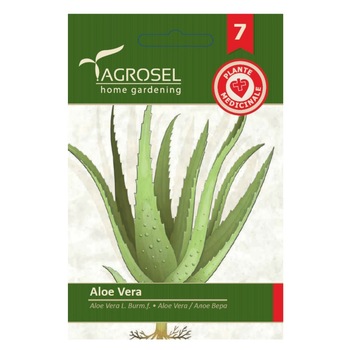 Seminte Aloe vera, Agrosel home gardening, 8 seminte Seminte Aloe vera, Agrosel home gardening, 8 seminte