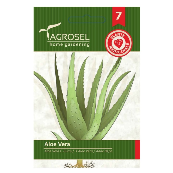 Seminte Aloe vera, Agrosel home gardening, 8 seminte