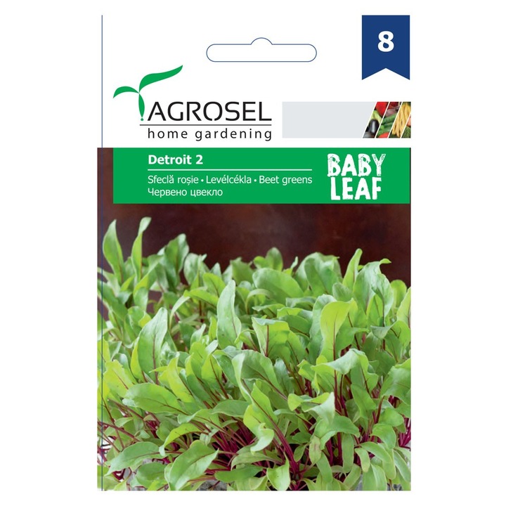 Seminte Sfecla rosie Detroit 2, Agrosel home gardening, 5 g