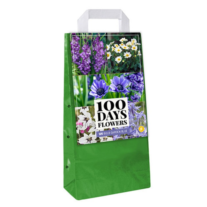 Hollandica, Blue Summer Garden Mix virághagymák, XXL Pack, 125 darab