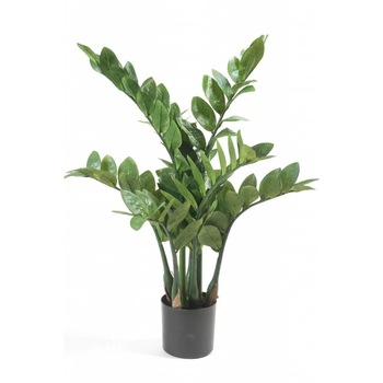 Planta artificiala in ghiveci, Emerald, Polietilena, 70 cm, Verde Planta artificiala in ghiveci, Emerald, Polietilena, 70 cm, Verde