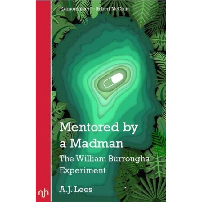 Mentored by a Madman - A J Lees