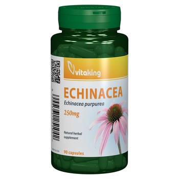 Supliment alimentar Extract de Echinacea 250 mg, Vitaking, 90 capsule Supliment alimentar Extract de Echinacea 250 mg, Vitaking, 90 capsule