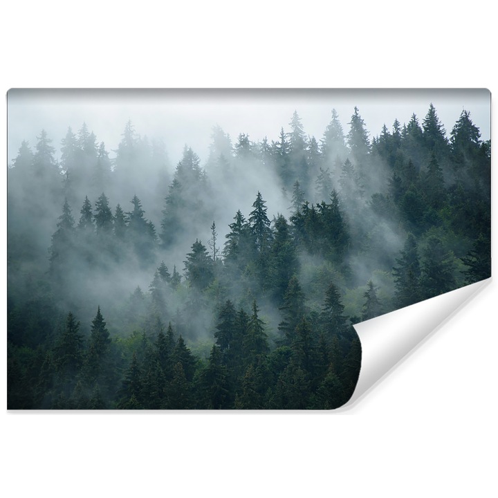Fotótapéta Tájkép 3D Erdő a Ködben 360cm x 240cm Vlies, Decor 3D, Modern kivitelben, Divat