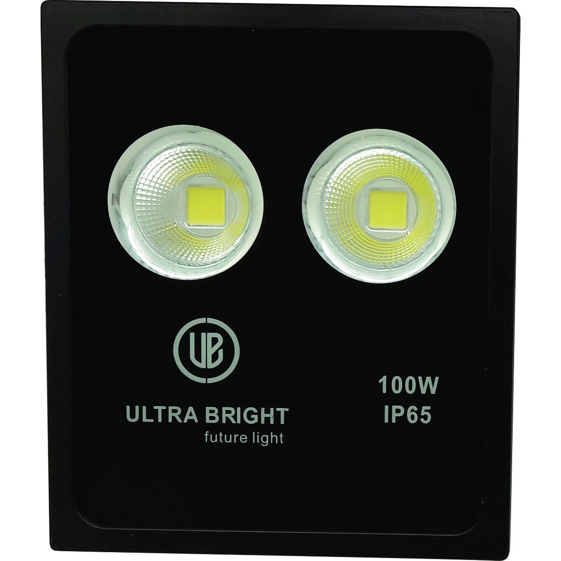 Proiector LED COB Ultra Bright, 100W, 6400K, IP65