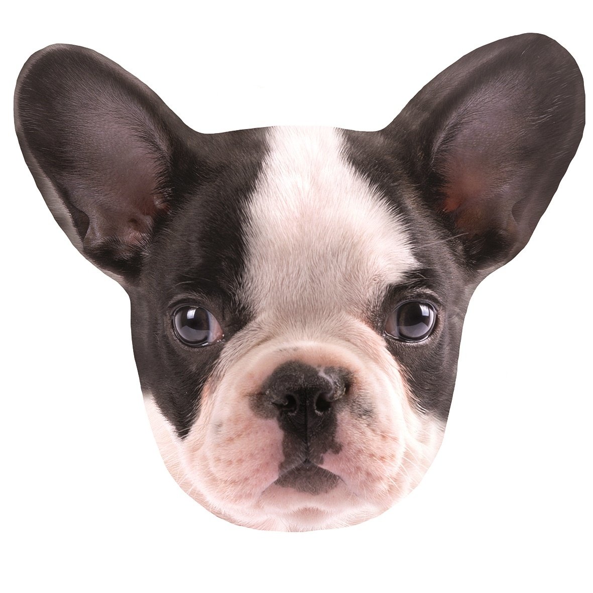 Perna Catel 35x27 cm KSZ191010