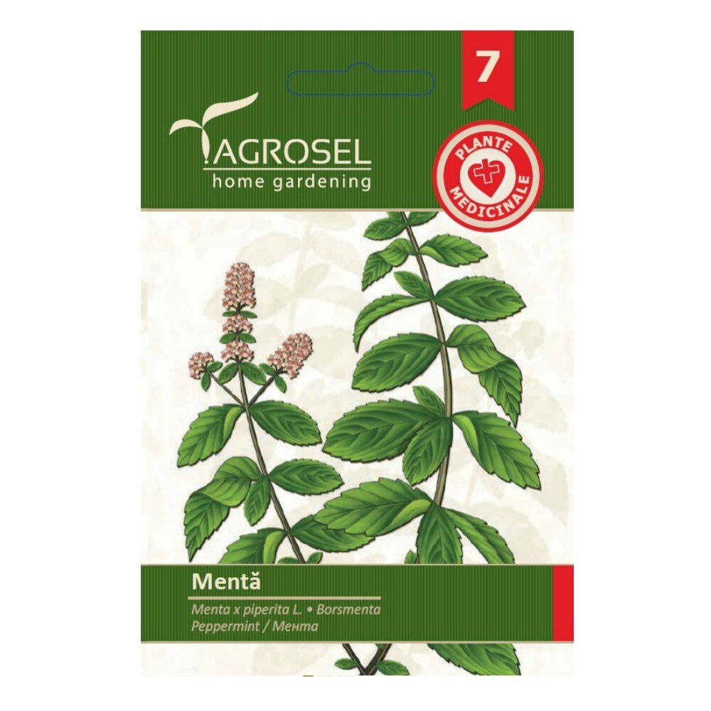 Seminte Menta, Agrosel home gardening, 0.2 g